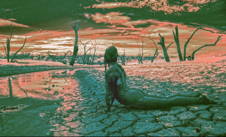 Carousel Image number 6